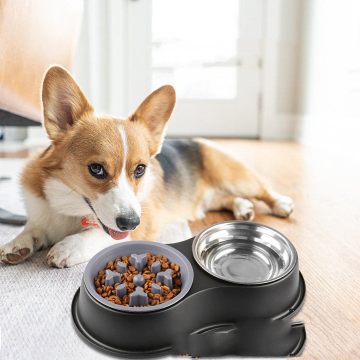 Why Your Pet Needs a Slow Feeding Bowl