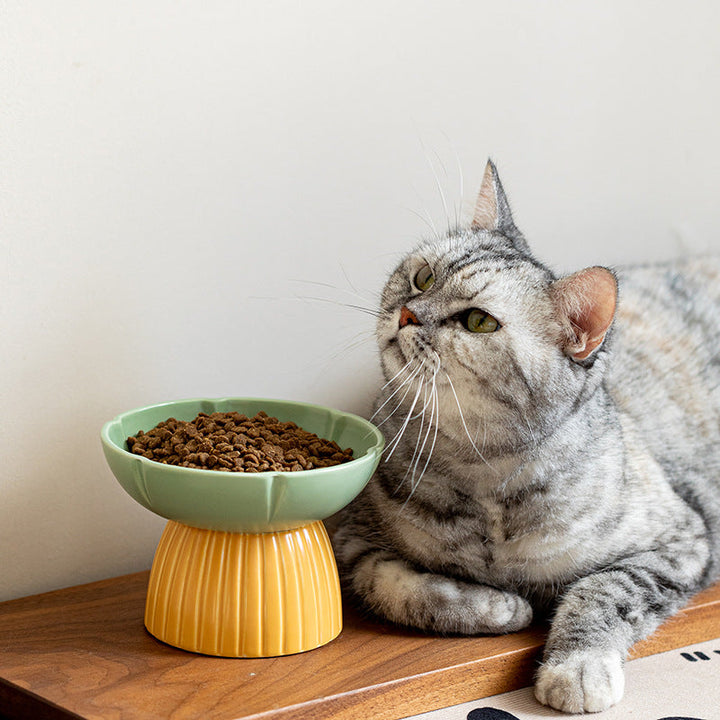 Elevate Your Pet's Dining Experience with Our Pet Macarons Candy Color Feeding Ceramic Bowl